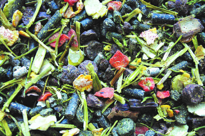 Hasfit Aufzuchtfutter Struktur Vital